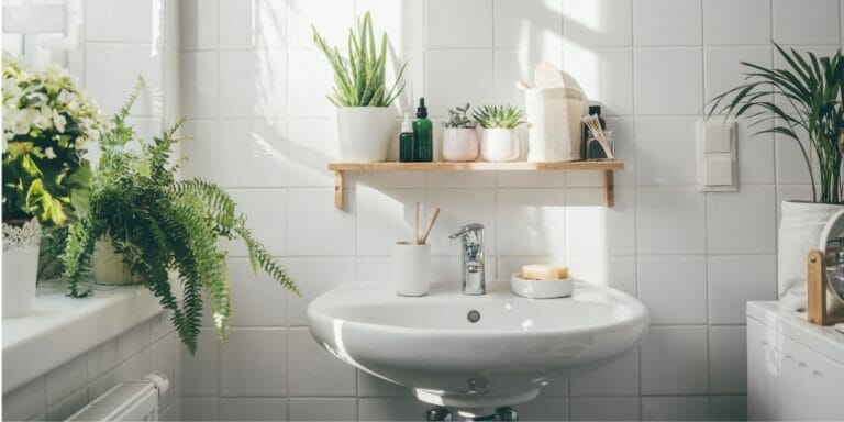 Aging in Style: Bathroom Design Tips for Accessibility and Safety 
